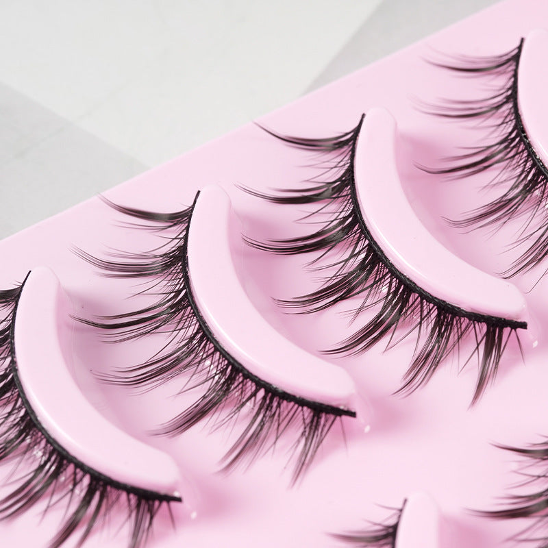 5 Pairs False Eyelashes