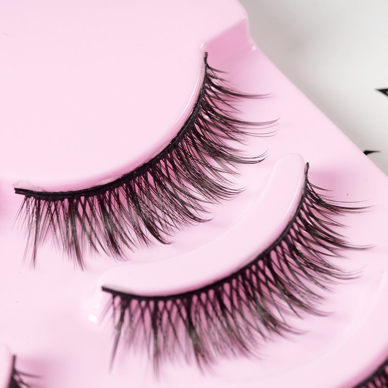 5 Pairs False Eyelashes